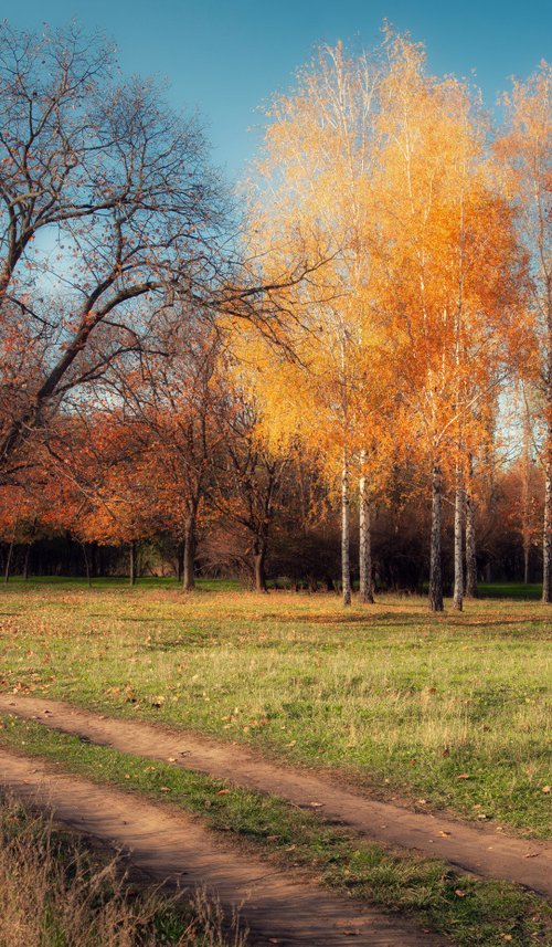 October sunny day by Vlad Durniev