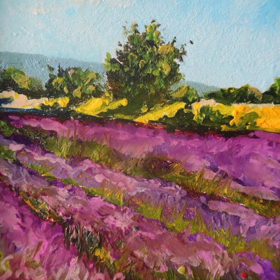 Lavender Fields Miniature Art