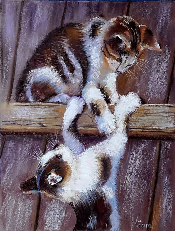 Playful Kittens on the Fence