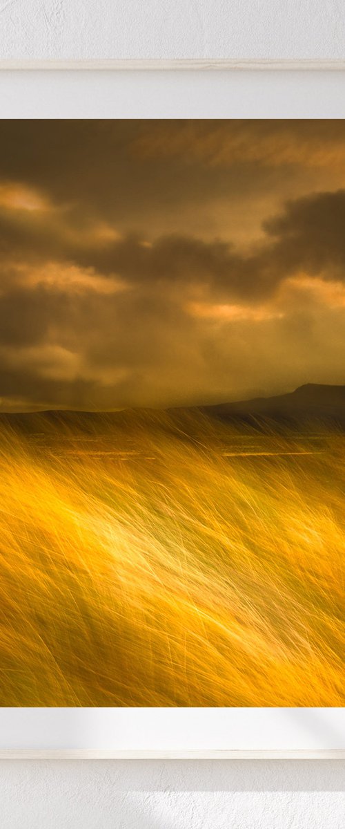 The Land I Love by Lynne Douglas