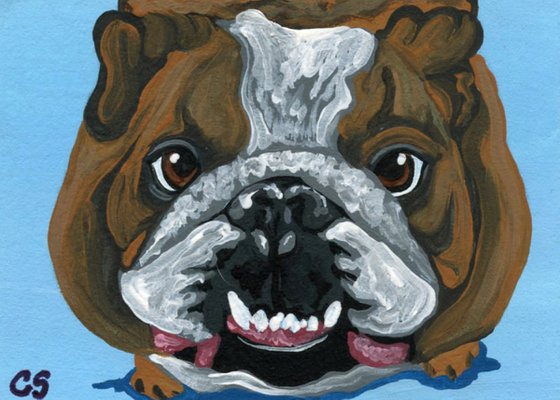 ACEO ATC Original Miniature Painting English Bulldog Pet Dog Art-Carla Smale