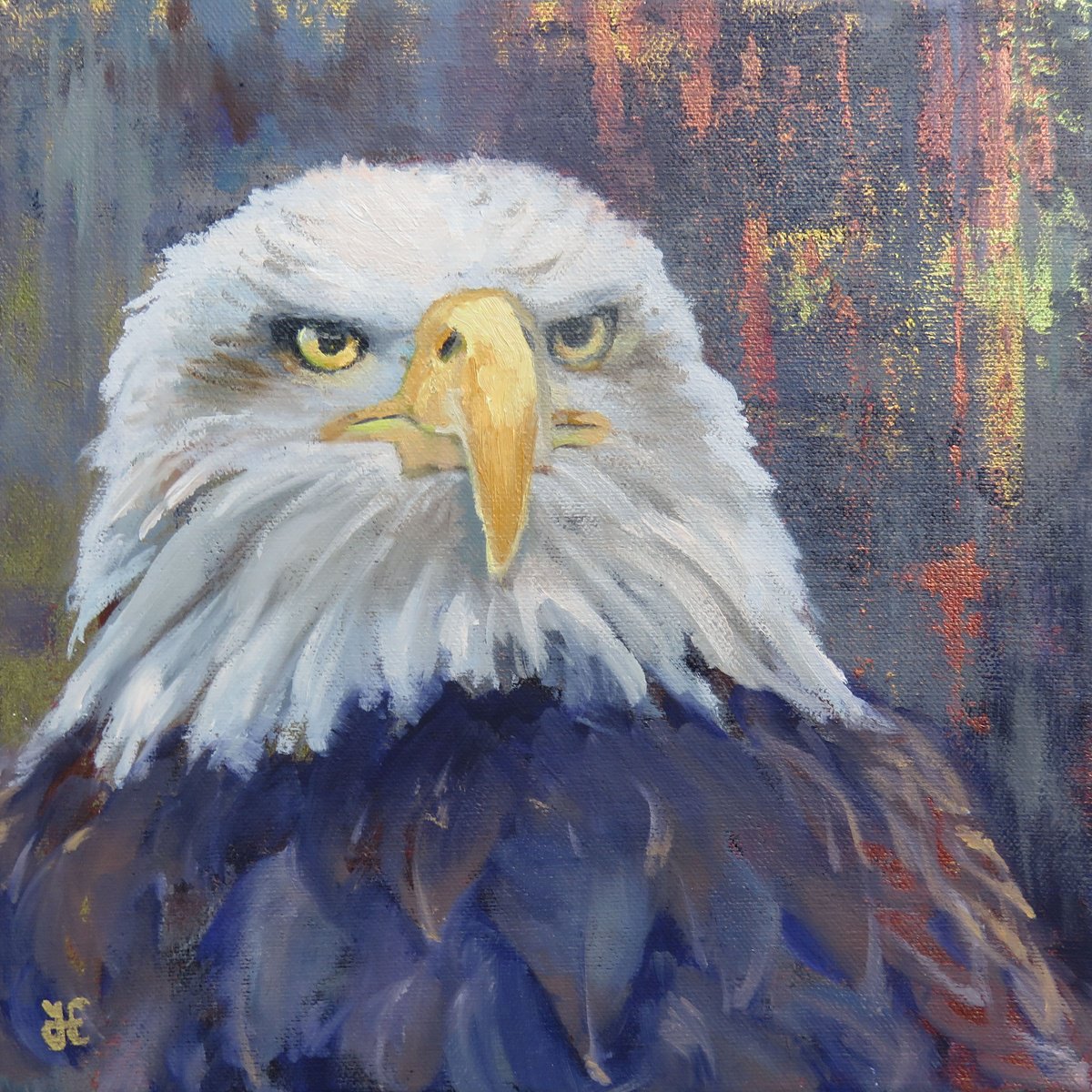 Eagle Shinning by Yanina Eberhard