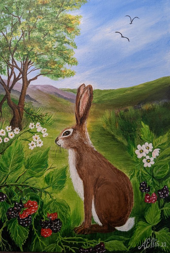 Hare in September