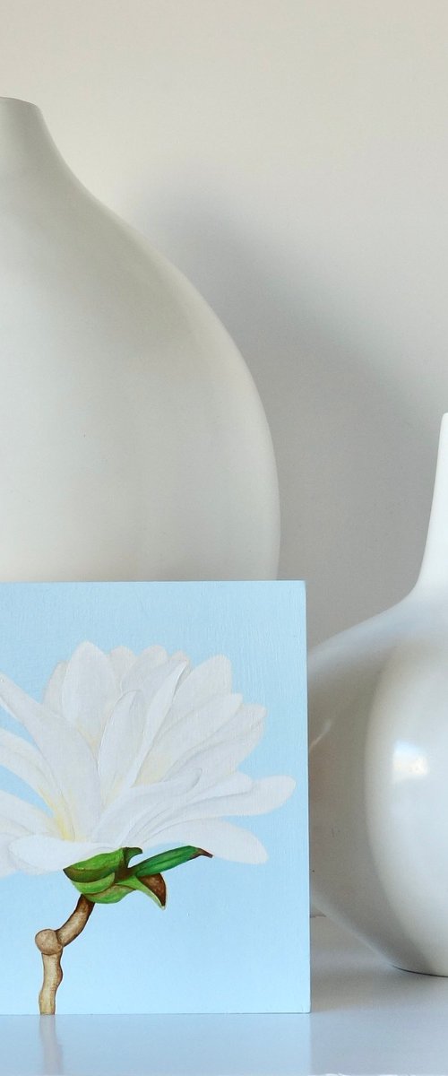 Star Magnolia by Susan Porter