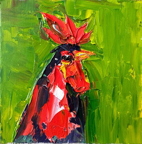 Domestic rooster