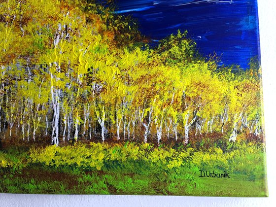 Autumn birch forest