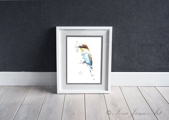 Bee-eater