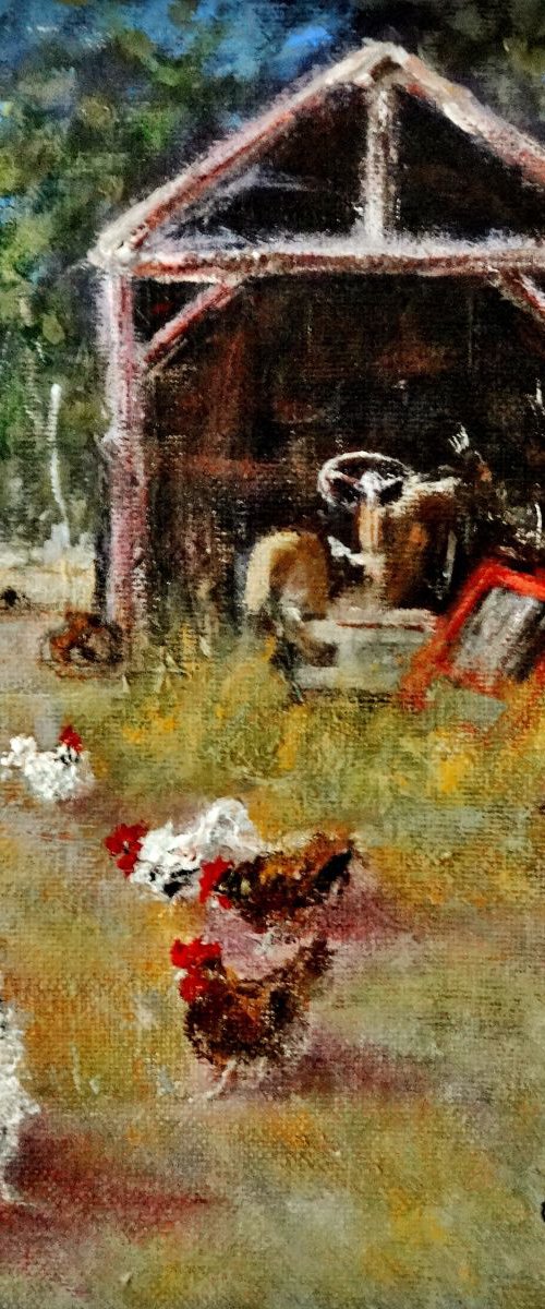Old shed/chicken fiesta by Cristina Mihailescu