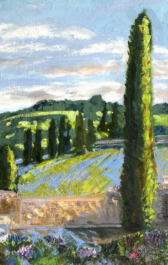 Tuscan Serenity