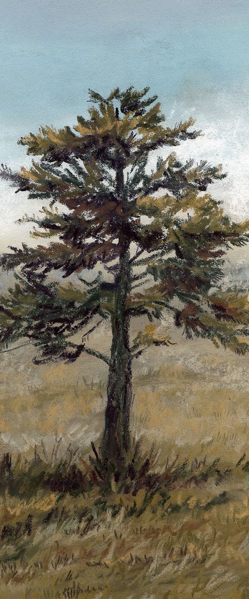 Lonely Fir original soft pastel drawing by Liliya Rodnikova