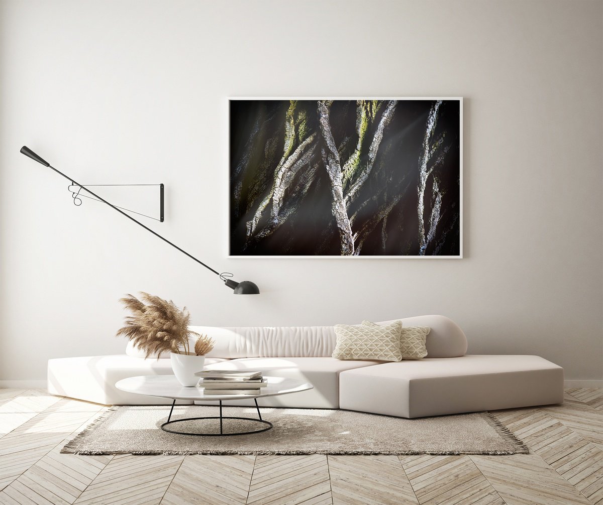 Abstract Botanical Photograph By Karim Carella, 45 X 31", Lifeblood #2, Original Artwork