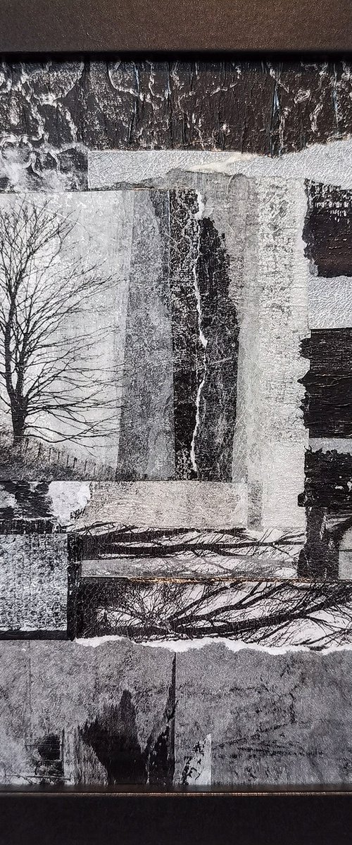 Antiquity by Roseanne Jones
