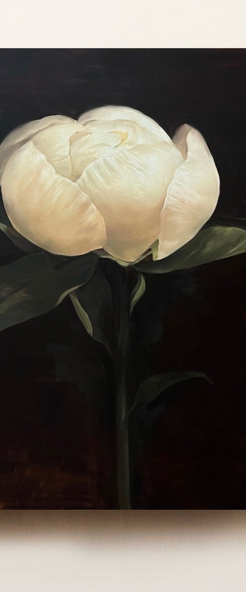 Old Holland flower 7 by Rosi Roys