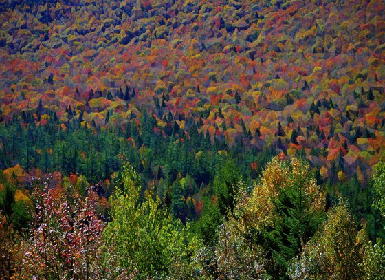 Kancamagus Highway One