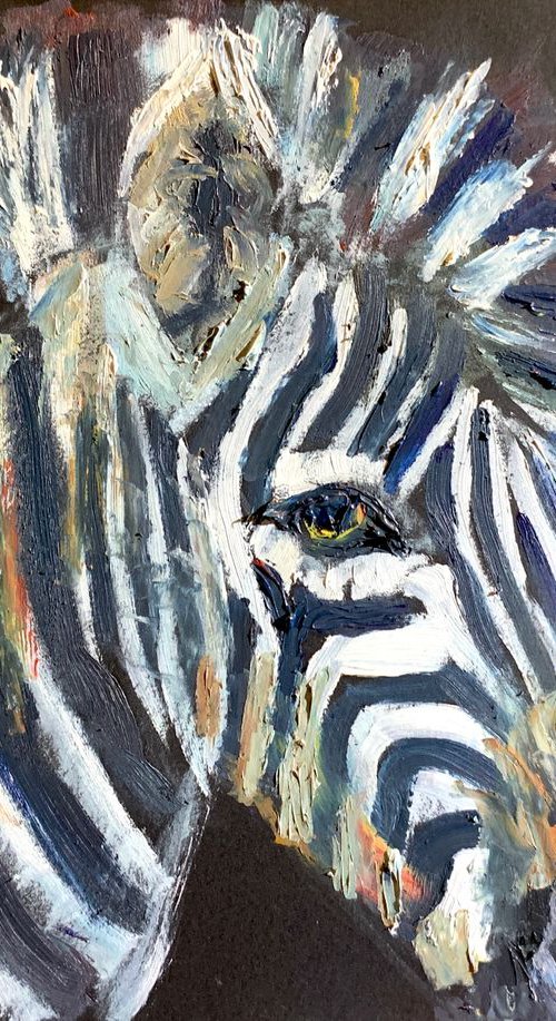 Zebra by Ryan  Louder