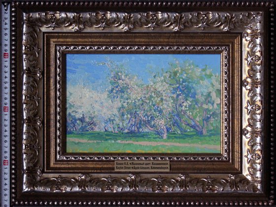 Apple blossom. Kolomenskoye