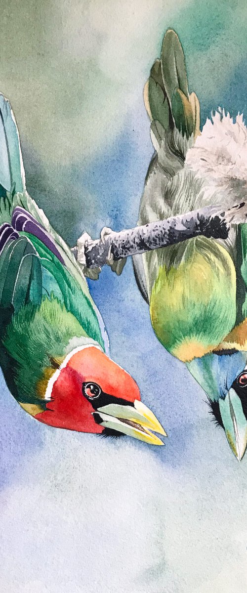 A couple of birds on a branch by Kakajan Charyyev