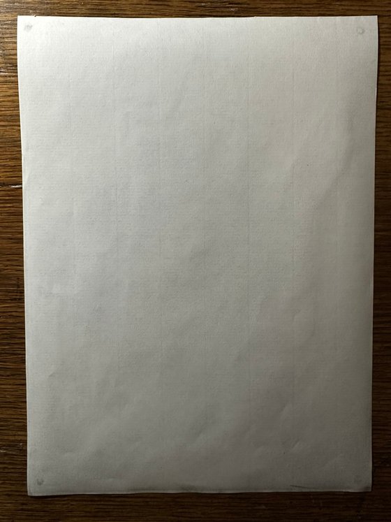 Sheer Beauty - 28-11-25