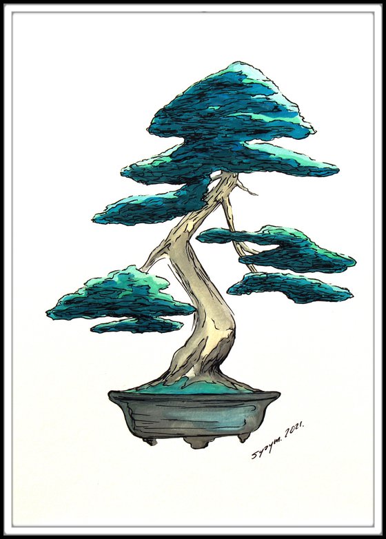 BONSAI XIII