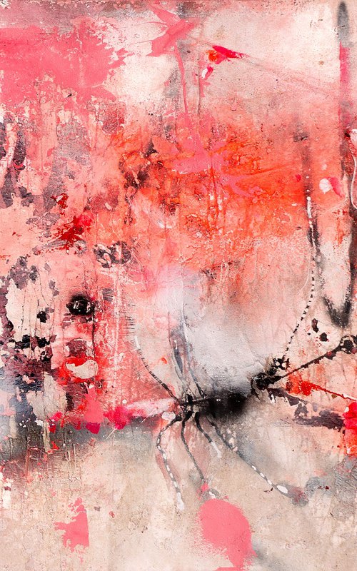 Passion Salad by Adriano Ribeiro