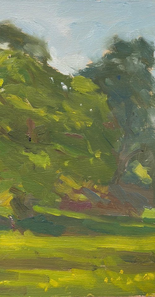 Roman Fort, Ambleside by Alex James Long