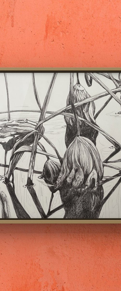 Lotus pond. Autumn by Guzel Min