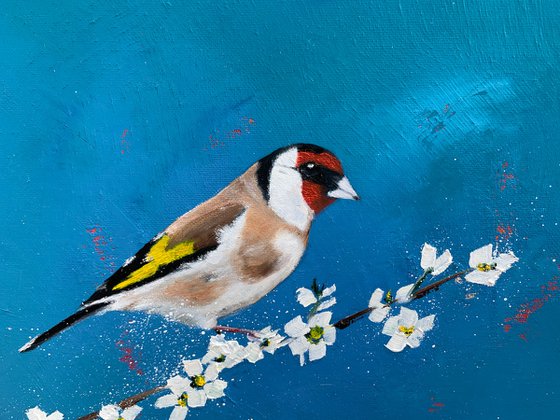 Goldfinch on Cherry Blossom