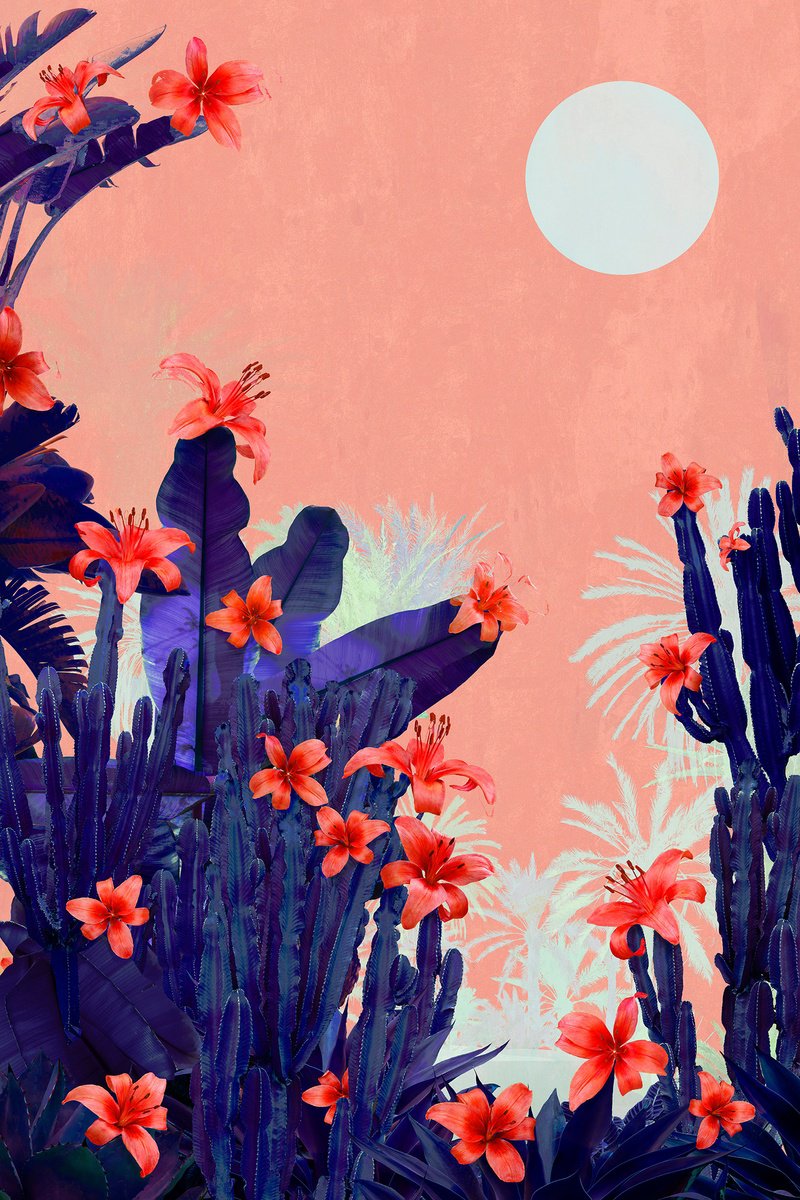 Surrealistic Landscape Photograph By Nadia Attura, 20 X 28", Cactus Terrace, Original Artwork