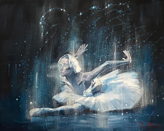 Fantastic Swan Lake Ballet No.03