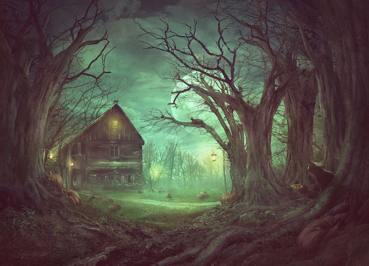Surrealistic Landscape Photograph By Nikolina Petolas, 37 X 27", Pumpkin Patch, Original Artwork