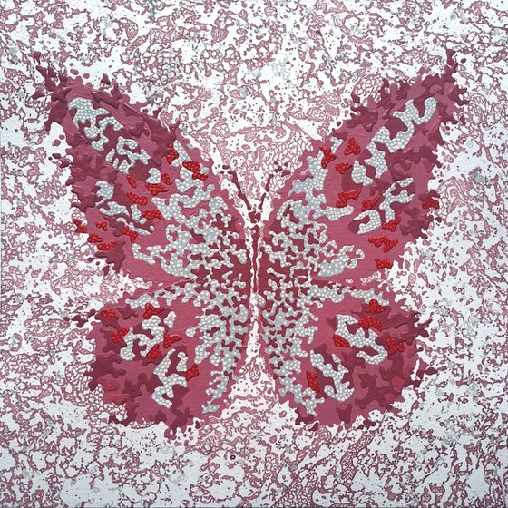 Butterfly «Burgundy Simphony»