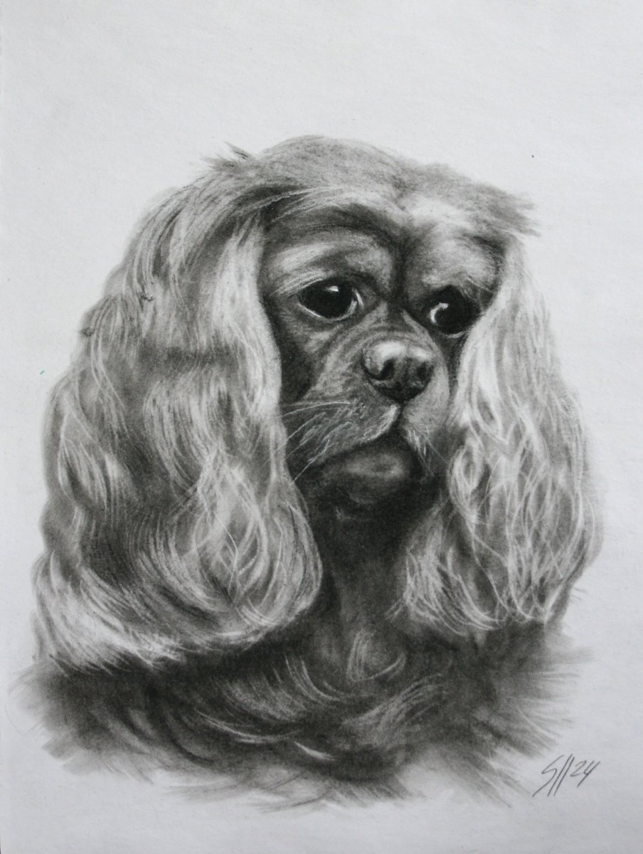 Impressionistic Animal Charcoal Drawing By Salana Art / Svetlana Samovarova, 8 X 10", Dog 2.11, Original Artwork
