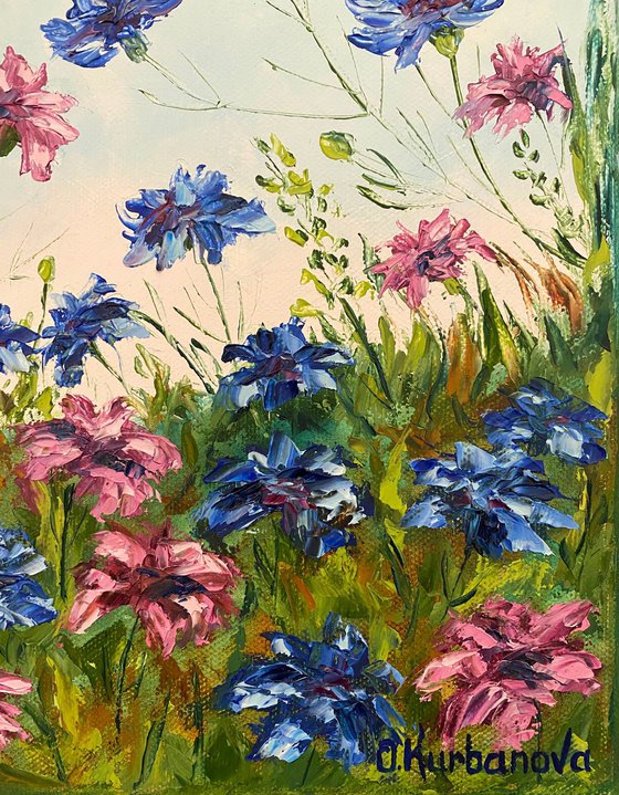 Blue and pink cornflowers