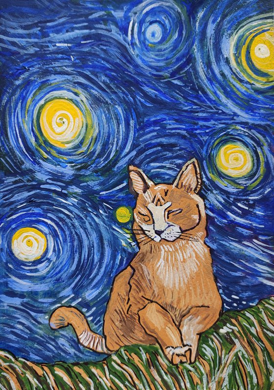 A cat on a starry night