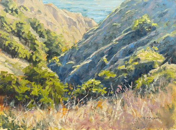 Big Sur Coast Plein Air Landscape