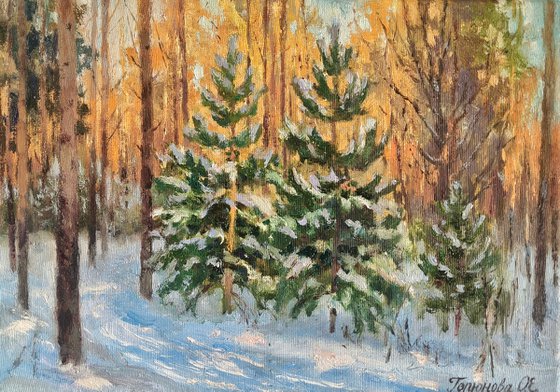 A frosty day in the park