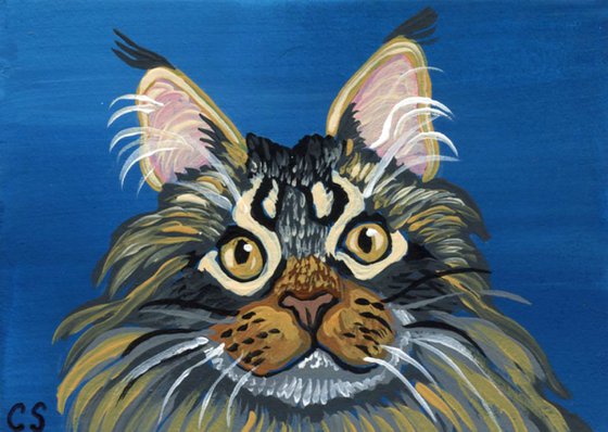 ACEO ATC Original Miniature Painting Maine Coon Cat Pet Art-Carla Smale