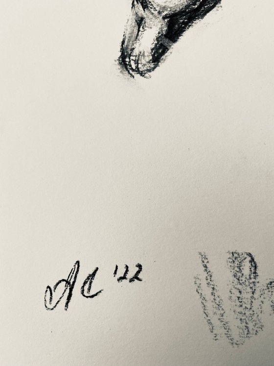 Charcoal: Sketch of Horse