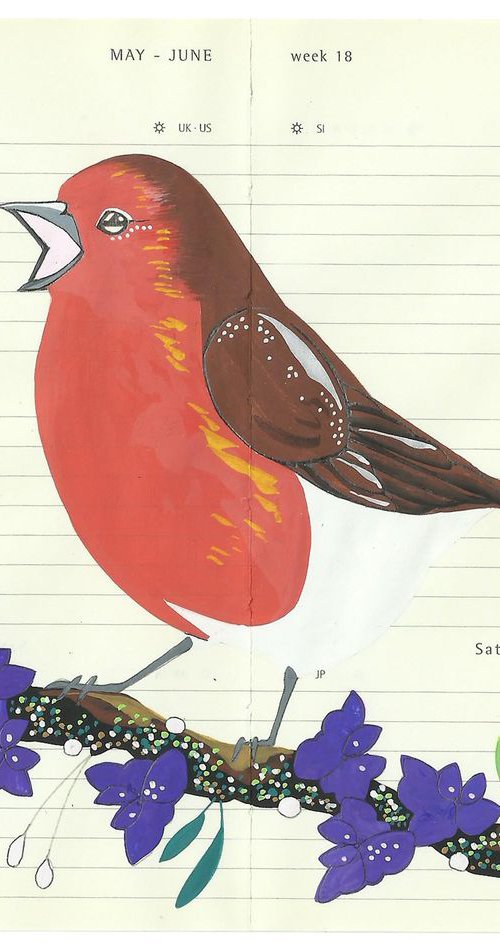 Birds of Europe: Robin by Fran Giffard