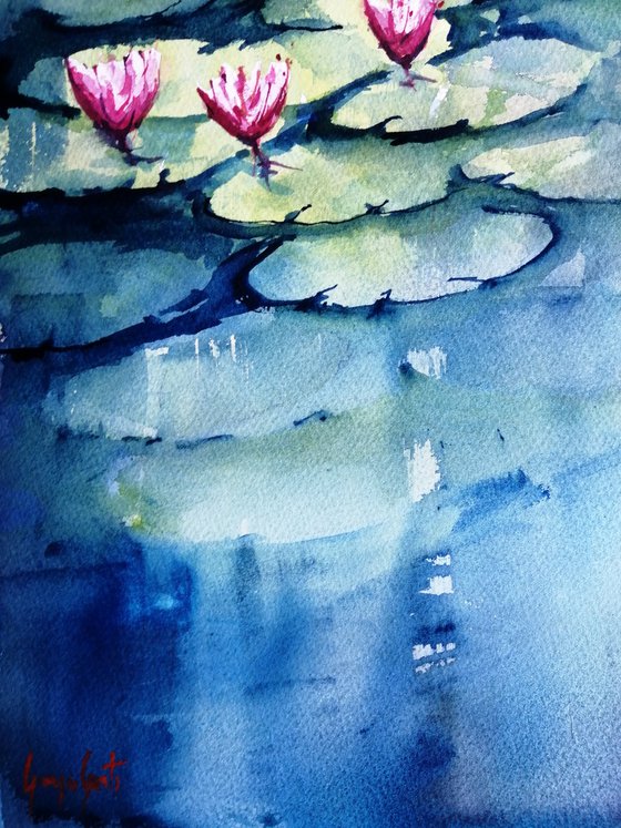 Lily pond