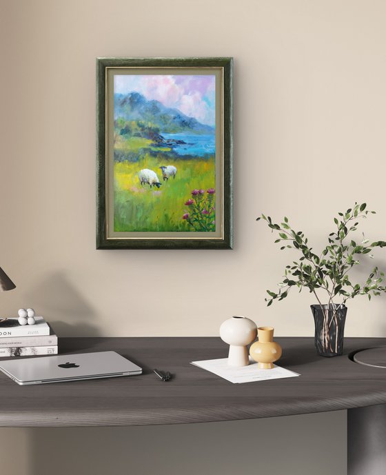 Scottish landscape, sheep on pasture