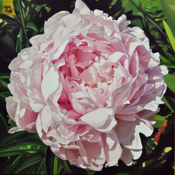 White peony