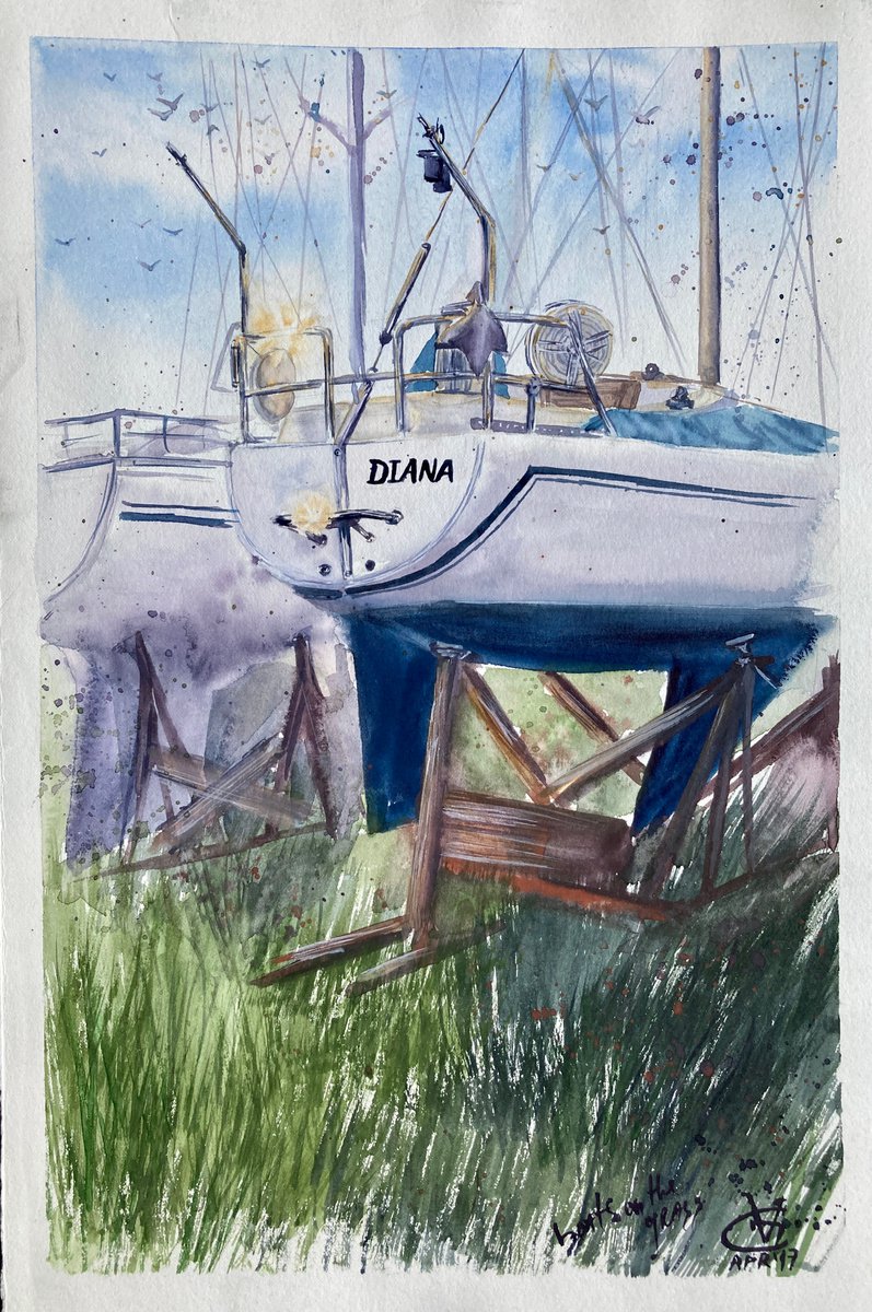Boats on the grass 4 by Valeria Golovenkina