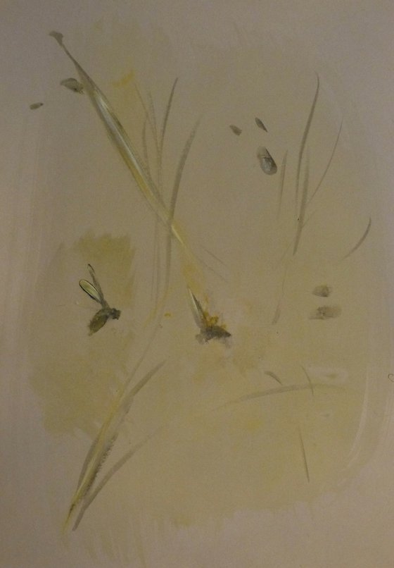 BUSY BEE & flowering plants 2