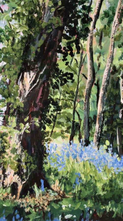 Red Campions in Bluebell Woods by Max Aitken