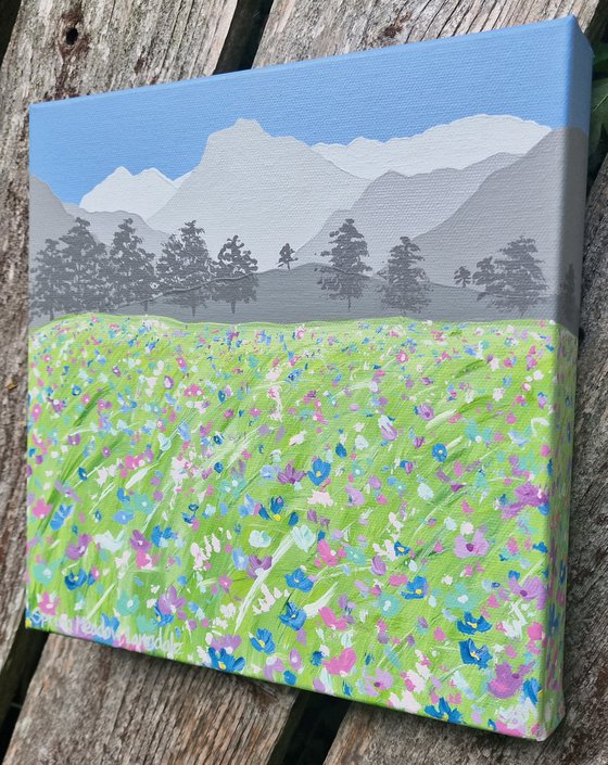 Spring Meadow, Langdale