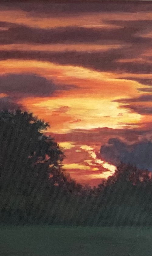 Summer Sunset in St Albans by Diana Sandetskaya