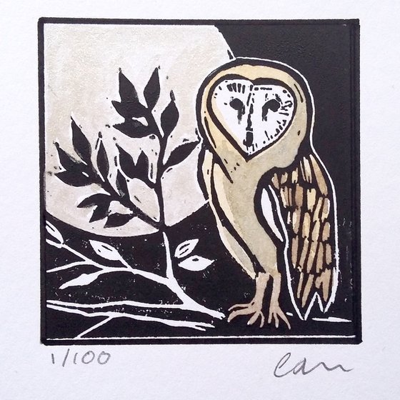 Moonlight barn owl