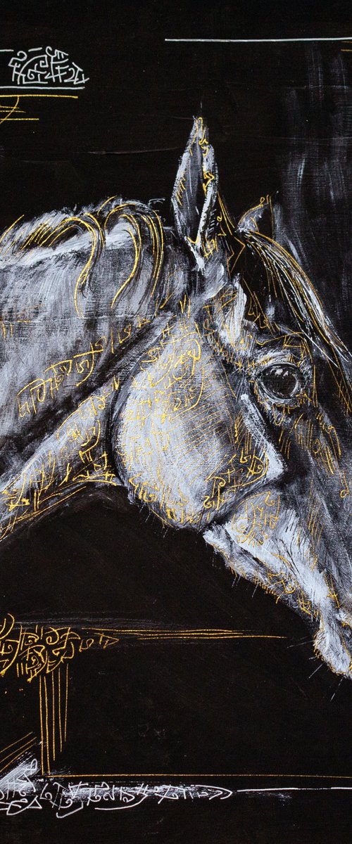 "A horse look" by Fefa Koroleva