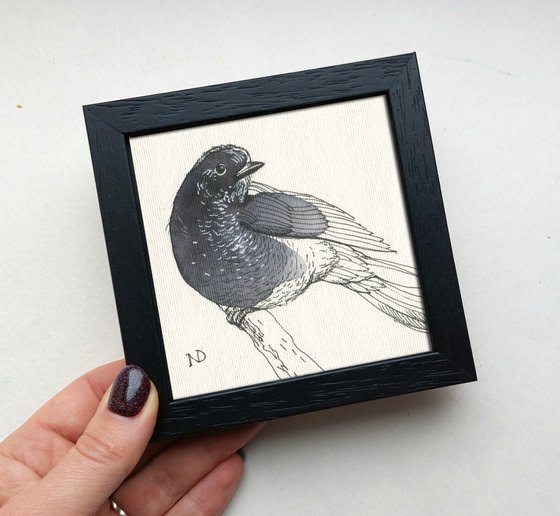 Blackbird watercolor painting original 4x4, Original bird ink sketch drawing artwork framed, Christmas gift